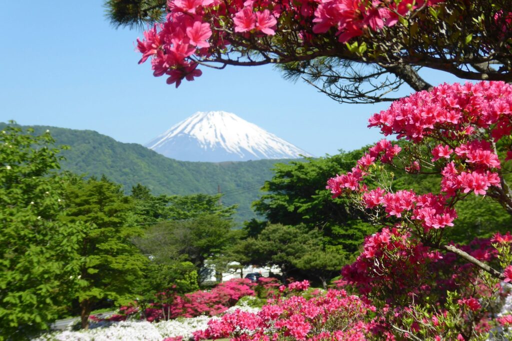 שייט מאורגן ליפן - הר געש