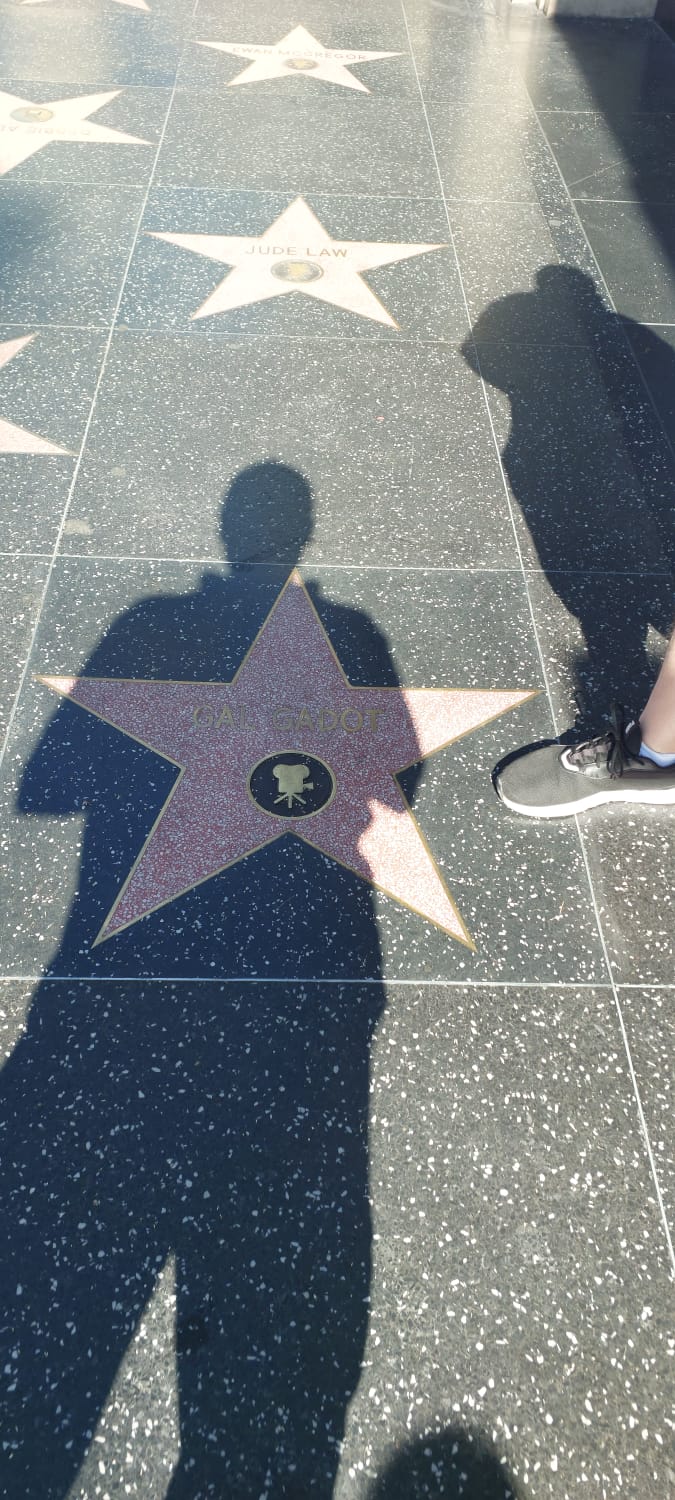 כוכב של גל גדות על שדרת הכוכבים בלוס אנג'לס