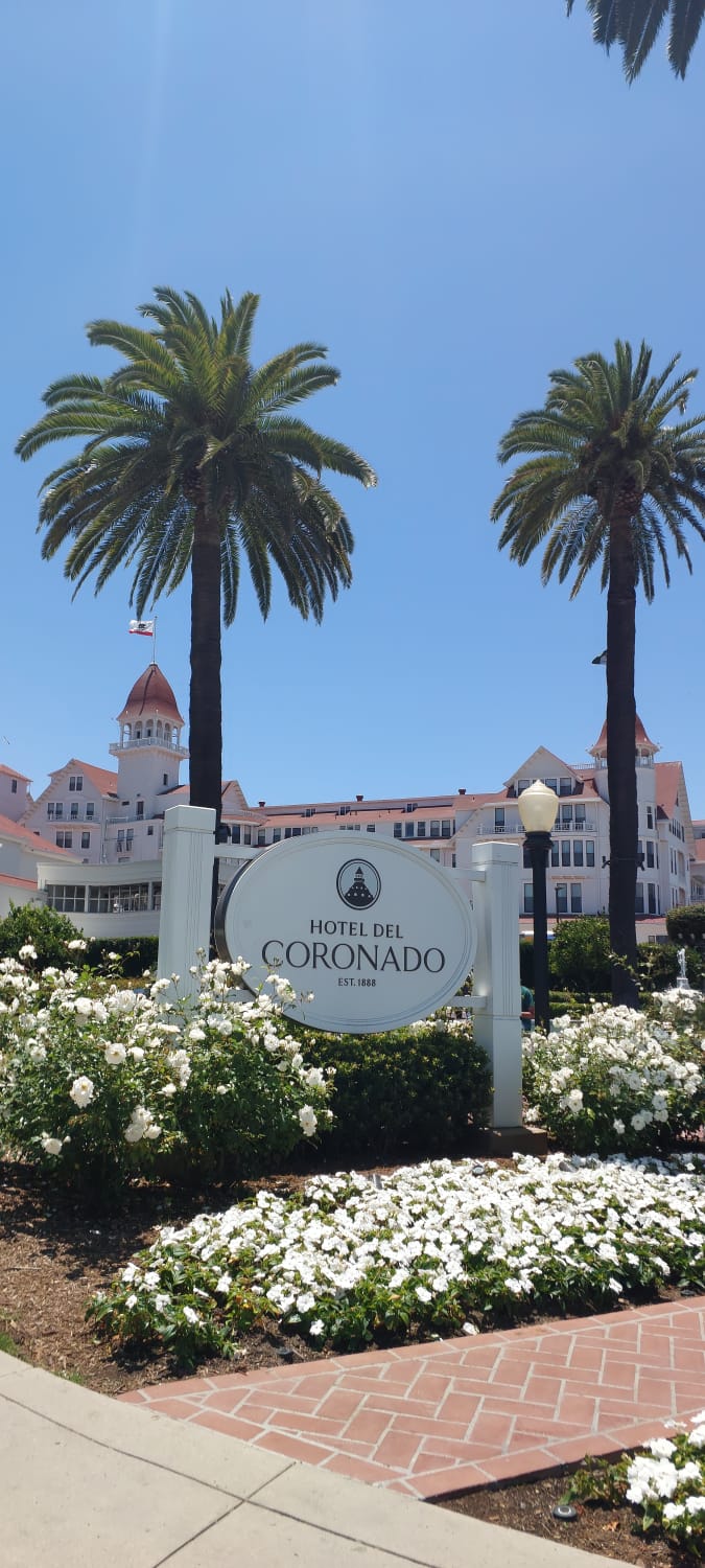 מלון קורונאדו הקלאסי עם גג אדום ועצי דקל בחזית, סן דיאגו