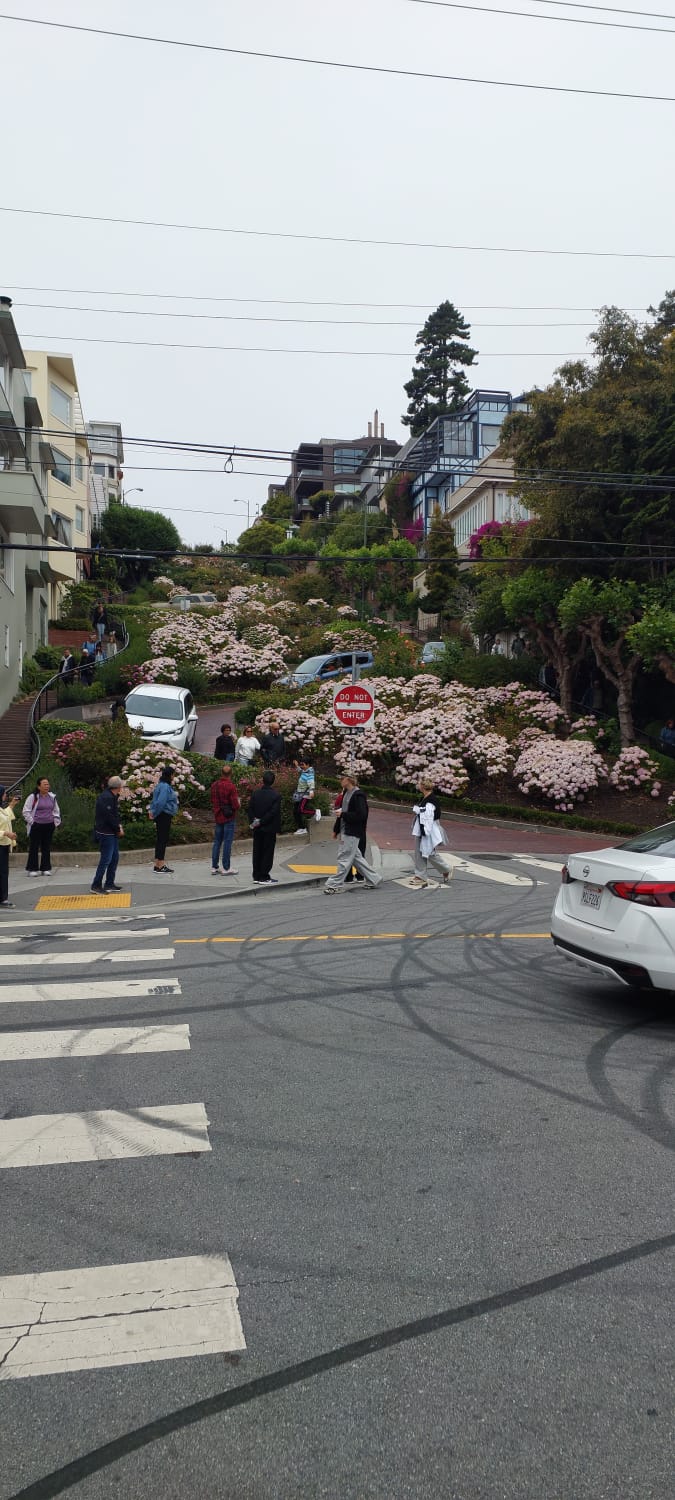 רחוב לומבארד בסן פרנסיסקו עם עיקולים חדים ופרחים צבעוניים