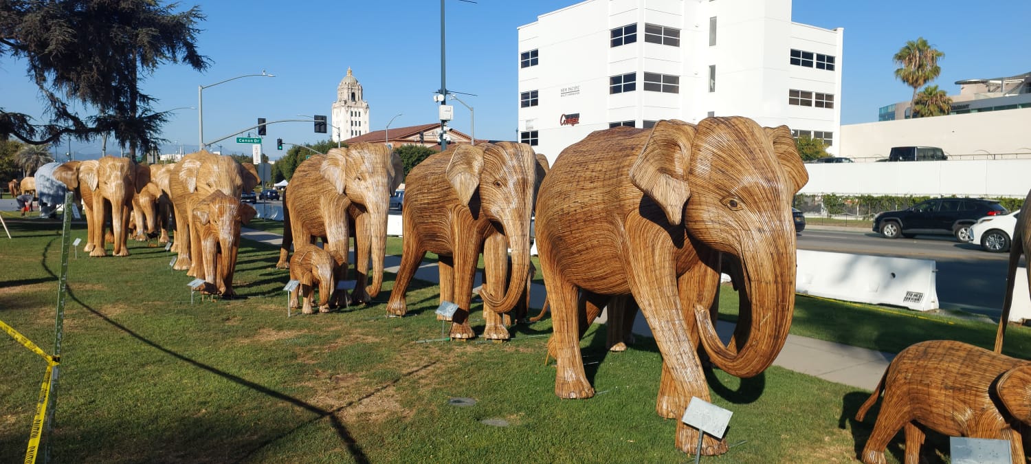 תצוגת פילים עשויים עץ בבוורלי הילס כחלק ממיצב אמנות ציבורית