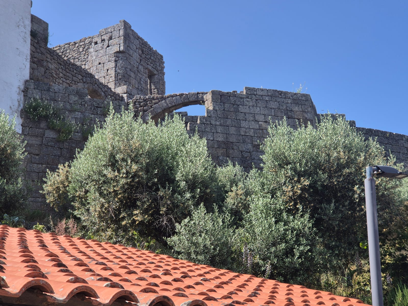 מבט על קטע משוחזר של חומת האבן העתיקה בבלמונטה, עם קשת אבן במרכזה, מוקפת בצמחייה ירוקה ועצי זית. ברקע נראים מגדלים מימי הביניים, תחת שמיים כחולים. בתחתית התמונה גג רעפים כתומים מקומי.