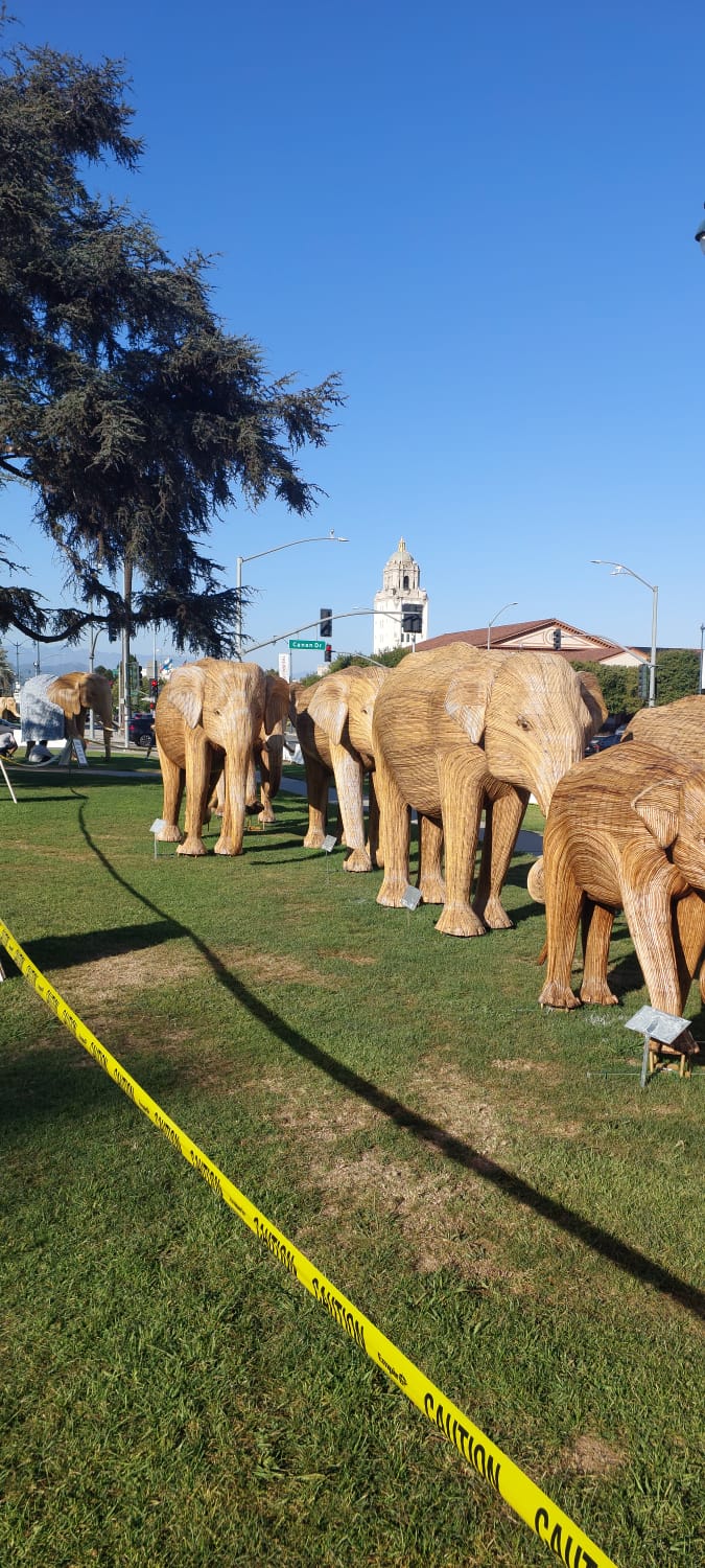 מיצב פילים עשויים עץ בדשא של בוורלי הילס בלוס אנג'לס