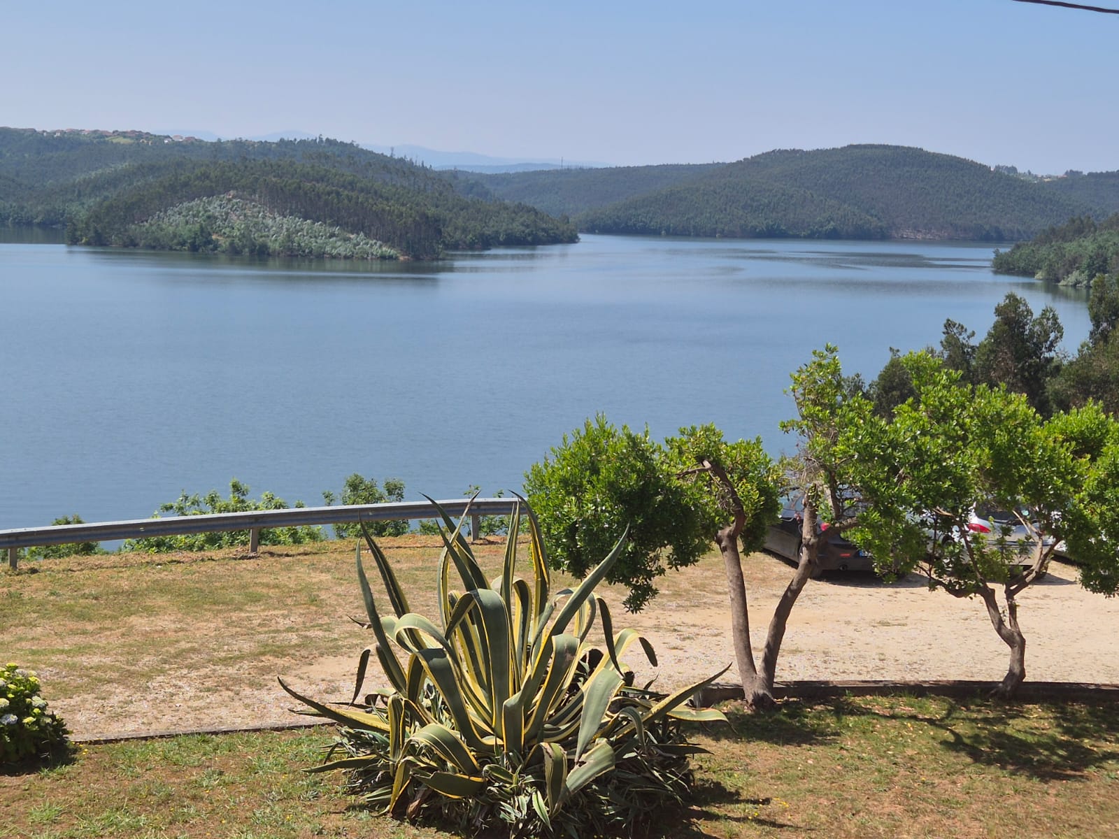 נוף פסטורלי המשקיף לעבר אגם מוקף גבעות ירוקות ועצים צפופים, בדרך הכפרית מצפון קוימברה לכיוון בלמונטה. בשולי התמונה נראים עצי הדר וברקע – אי ירוק בלב המים, תחת שמיים כחולים וצלולים.