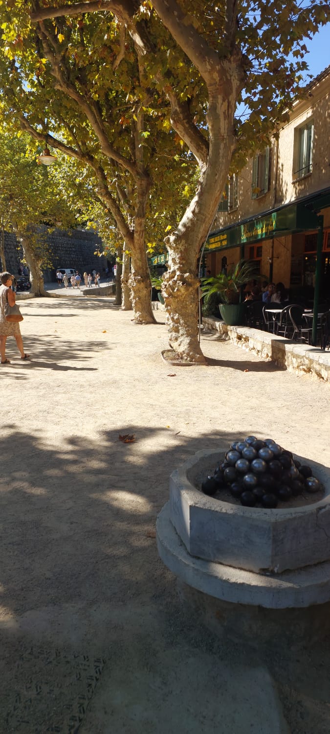 רחוב מוצל עם עצי דולב בסן-פול דה ונס – טיול לריביירה הצרפתית יום 6