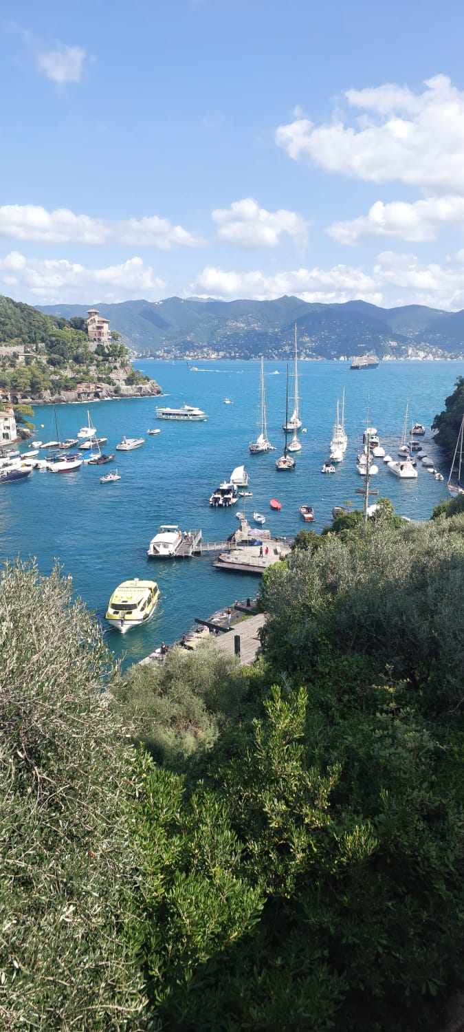 טיול לפורטופינו – תצפית פנורמית על המפרץ והיאכטות עם Castello Brown ברקע
