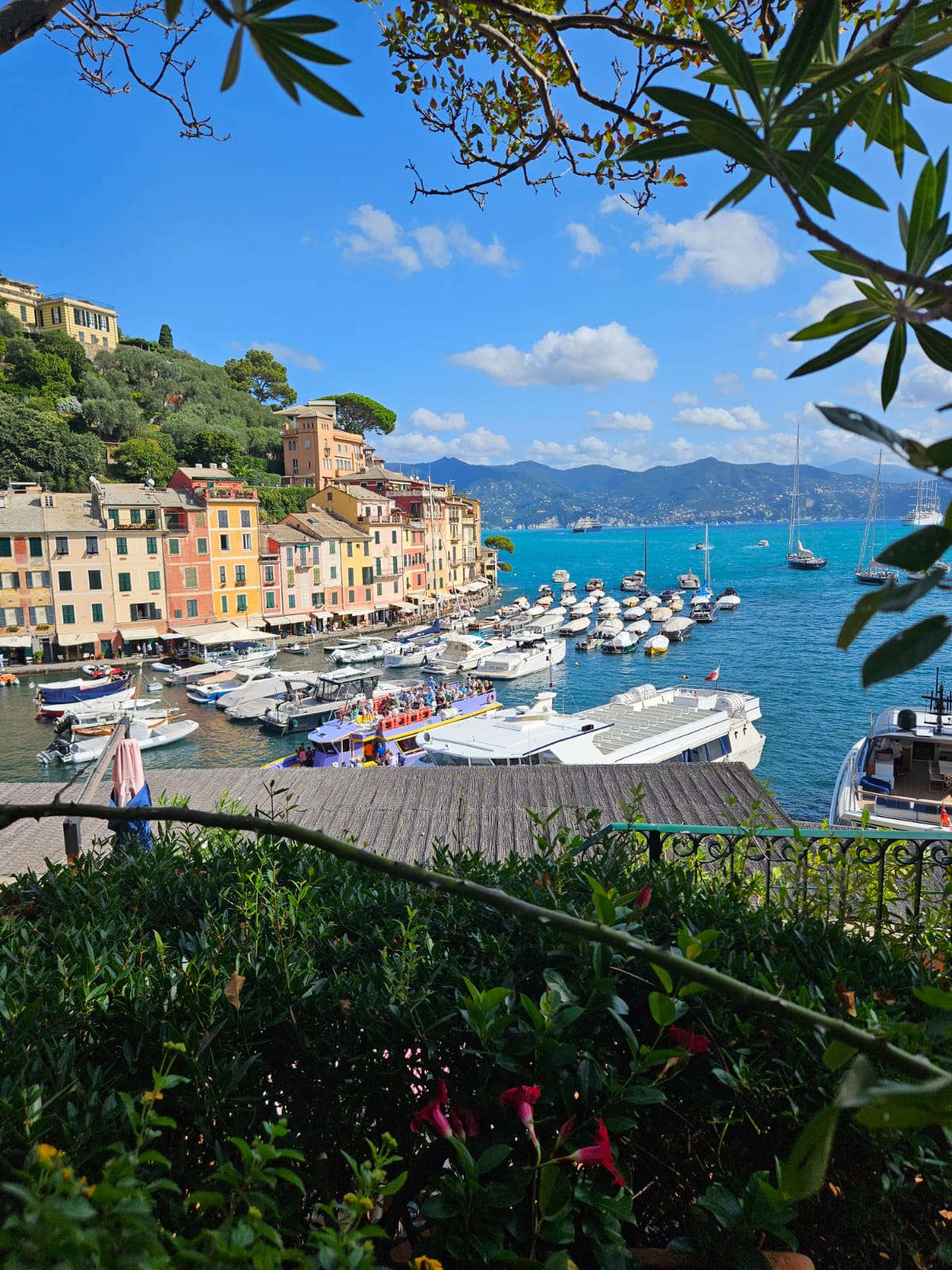 טיול לפורטופינו – נמל פורטופינו עם הבתים הצבעוניים והיאכטות