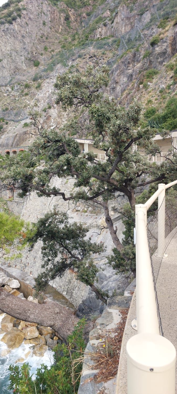 טיול לצ’ינקווה טרה – נוף מהליכה בשביל האהבה בין ריומאג’ורה למאנארולה