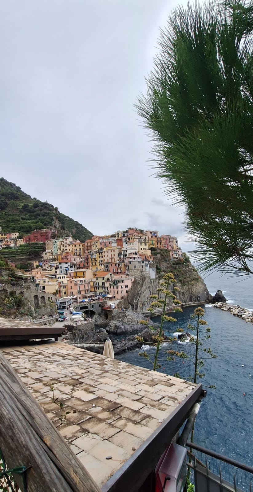 טיול לצ’ינקווה טרה – מבט על מאנארולה והבתים הצבעוניים על הצוק מעל הים