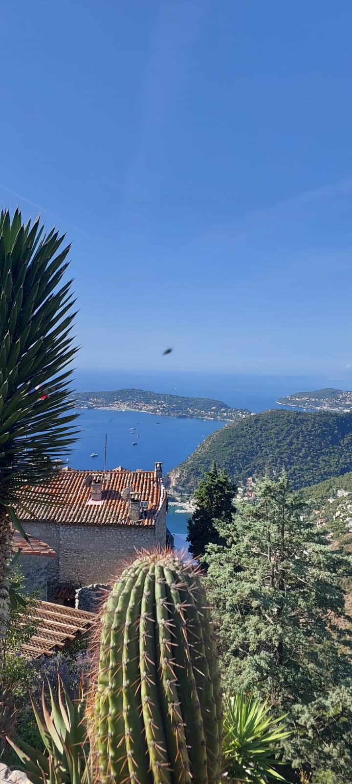 טיול לריביירה הצרפתית – הגן האקזוטי ב־Èze עם קקטוסים ותצפית על הים התיכון