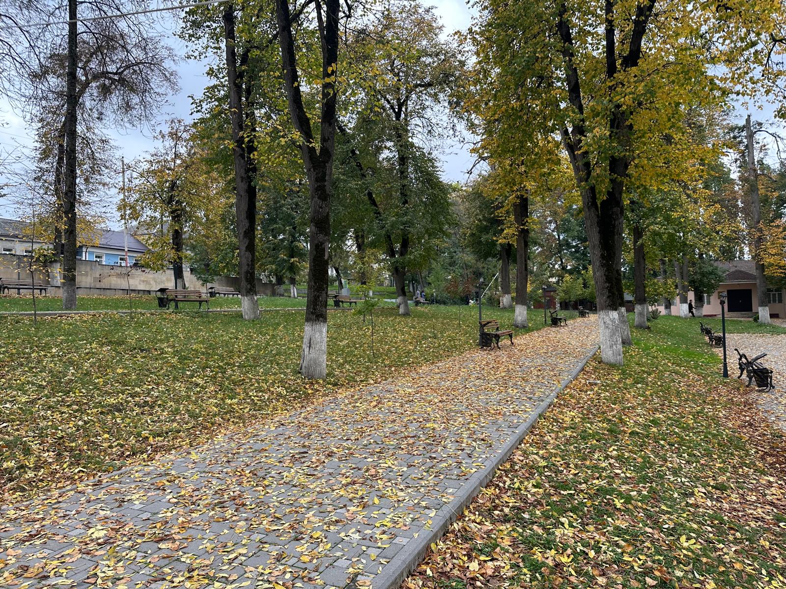 שביל בין עצי השלכת בצפון אזרבייג'ן
