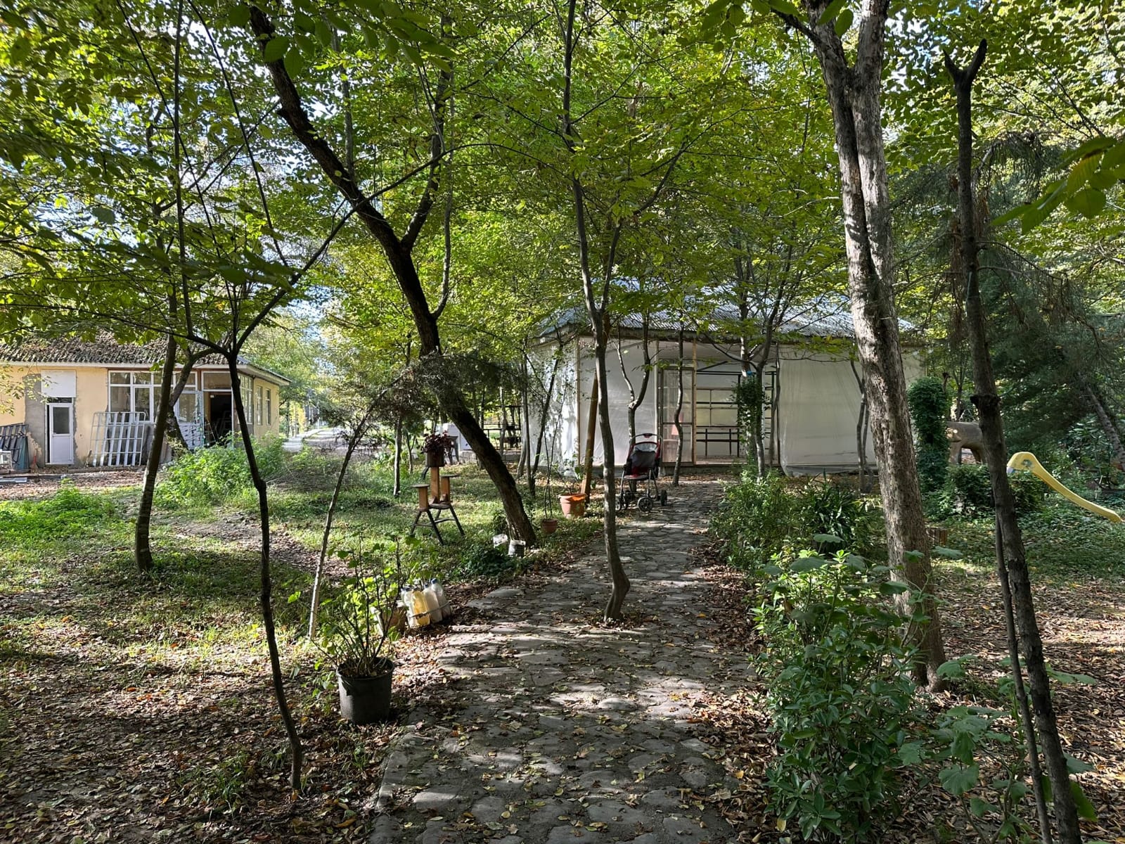 שביל מוצל בכפר קיש ליד שקי, בין עצים ירוקים ובקתות עץ ציוריות במסגרת טיול לאזרבייג'ן שקי ונידג'