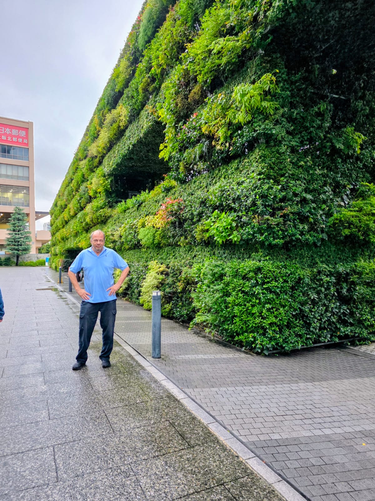 גיורא נלקן ליד הקיר הירוק באוסקה – טיול ליפן בשלכת