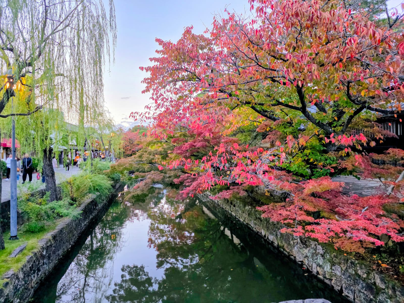 תעלת ביוקאן בקורשיקי בעונת השלכת במסגרת טיול ליפן בשלכת מיאג'ימה וקורשיקי