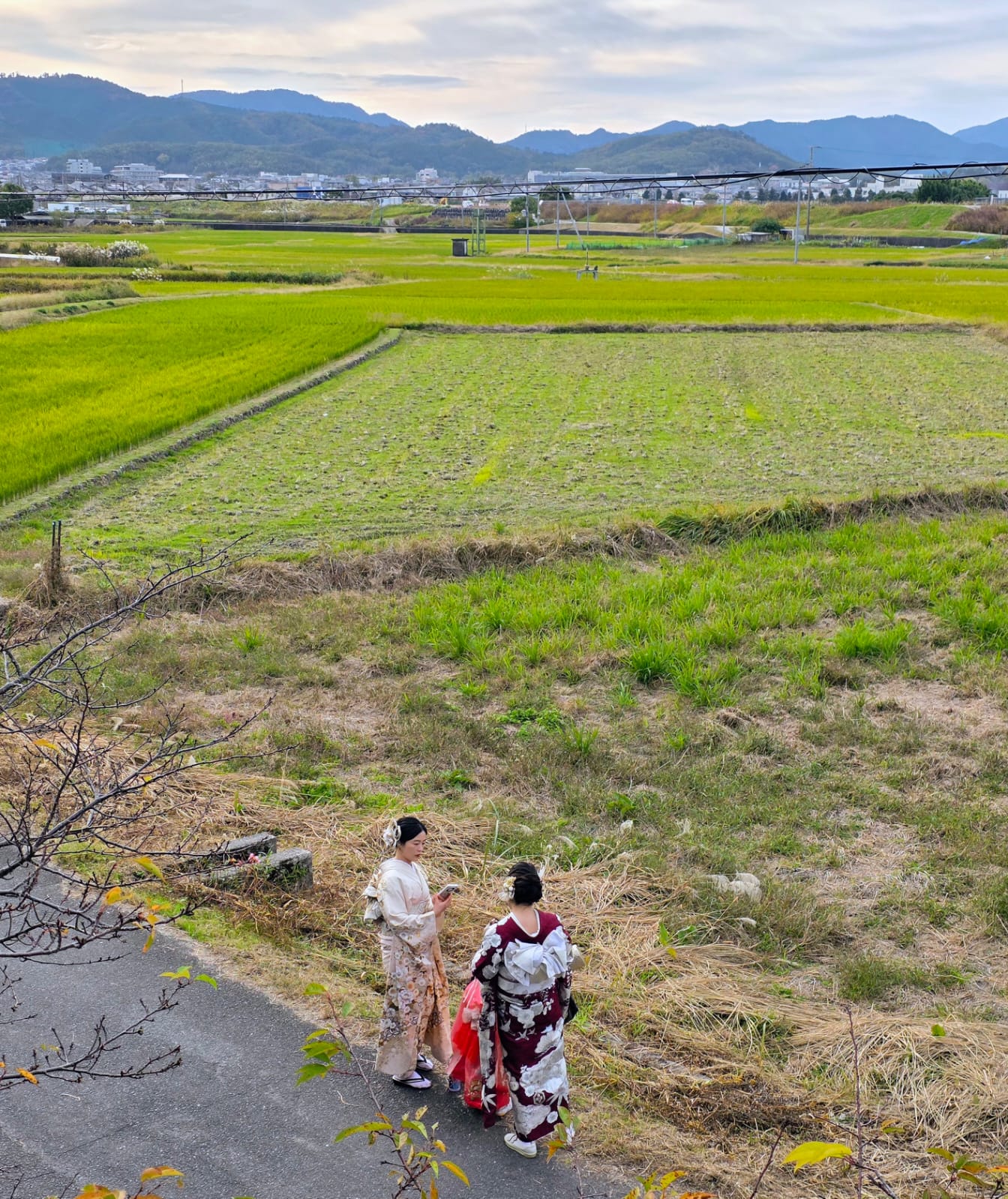 מייקו או גיישות מצטלמות בשדות אורז ליד קיוטו במהלך טיול ליפן בשלכת קיוטו ופושימי אינארי