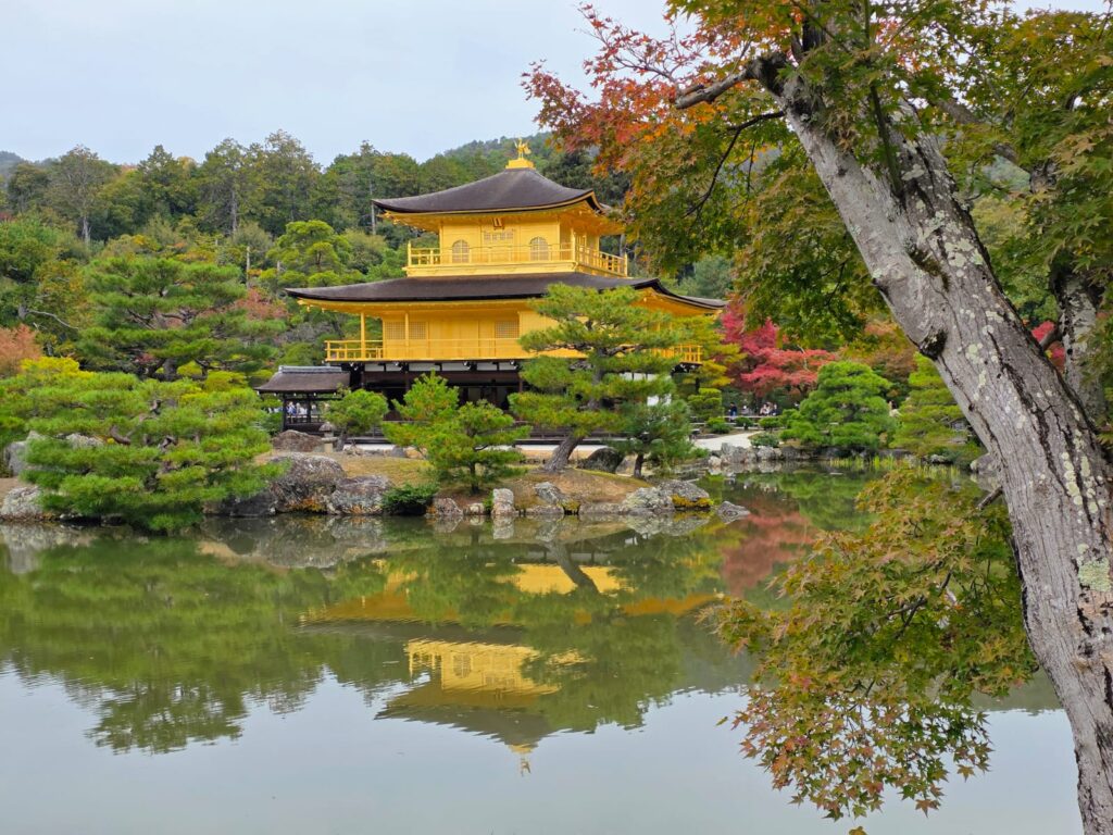 טיול לקיוטו מקדש הזהב וגיון – מקדש הזהב קינקאקוג’י משתקף באגם