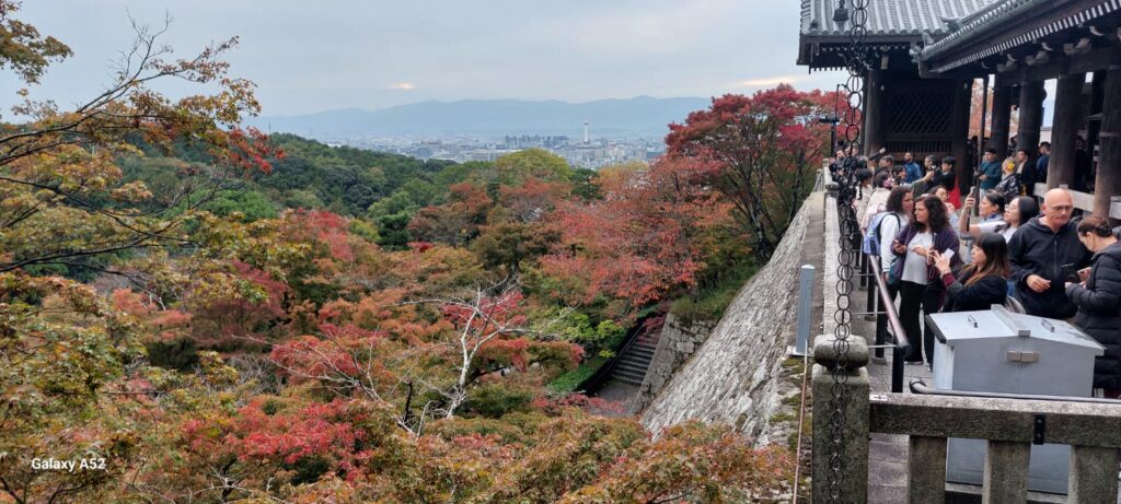 טיול לקיוטו מקדש הזהב וגיון – תצפית מקיומיזו־דרה על קיוטו בעונת השלכת