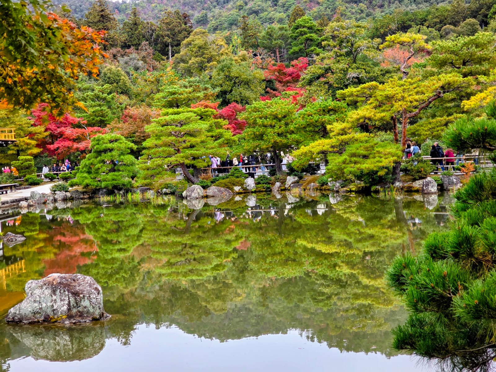 גן יפני בשלכת