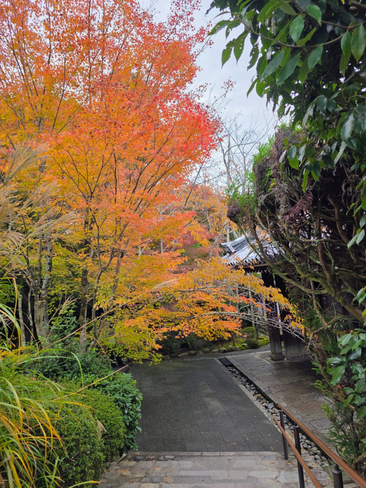 שביל שלכת יפני