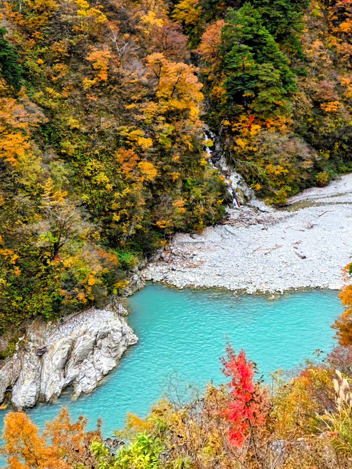 נחל טורקיז בשלכת