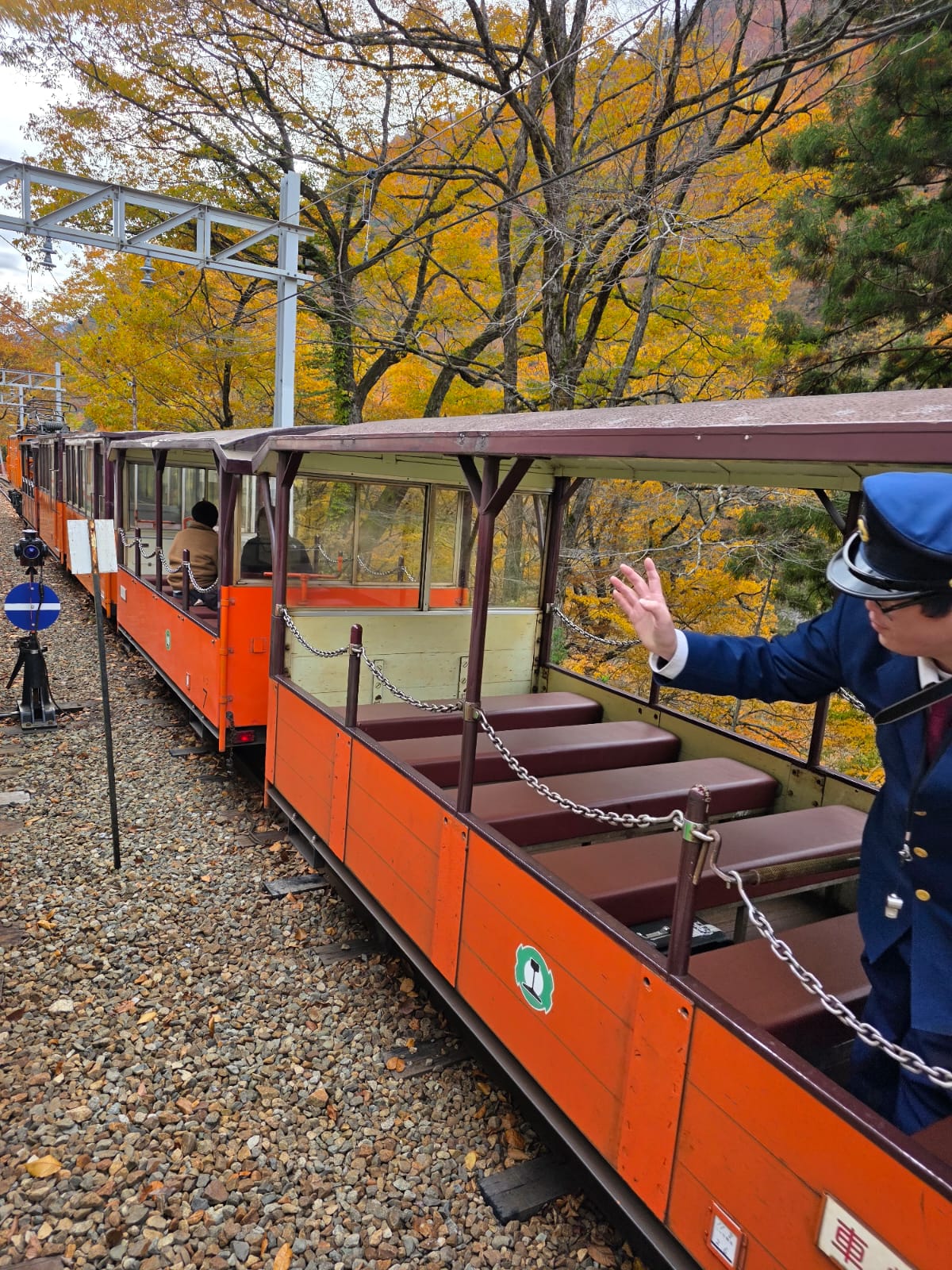 טיול לקנזאווה טקייאמה ושירקאוואה־גו – הרכבת האלפינית בטטייאמה–קורובה נוסעת בין שלכת יפנית.