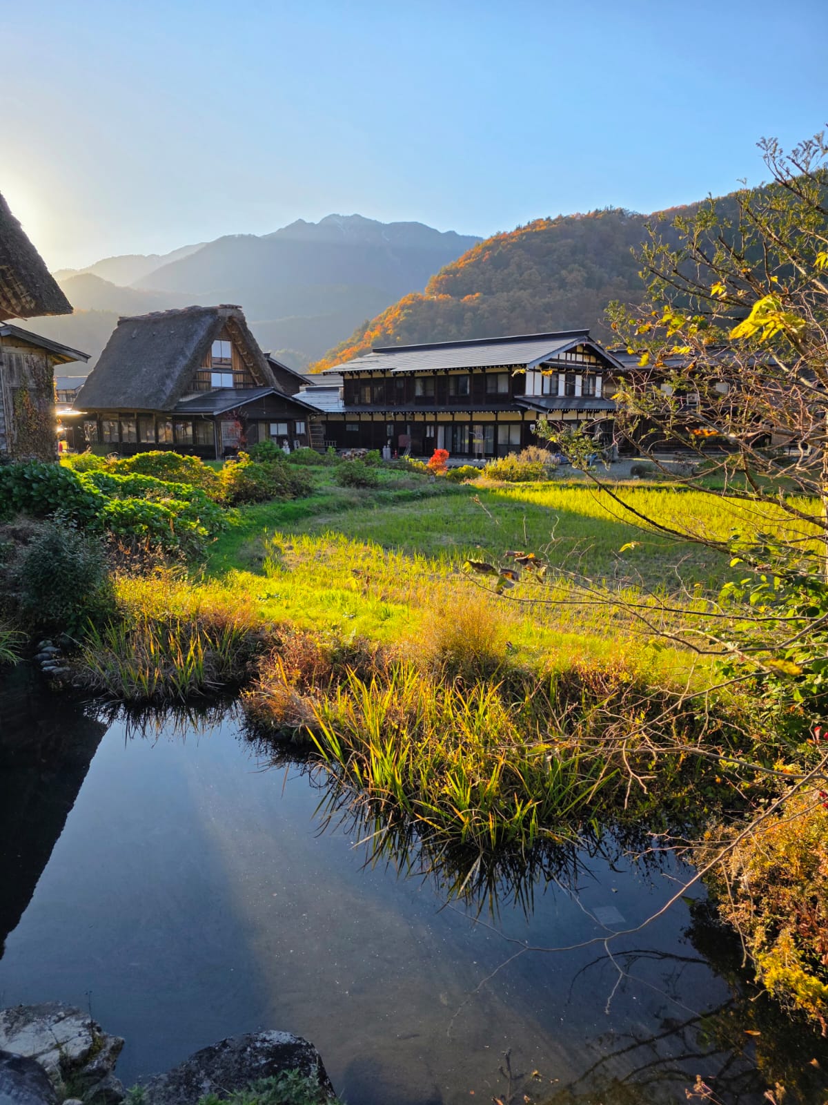 בתים מסורתיים – שירקאוואה־גו