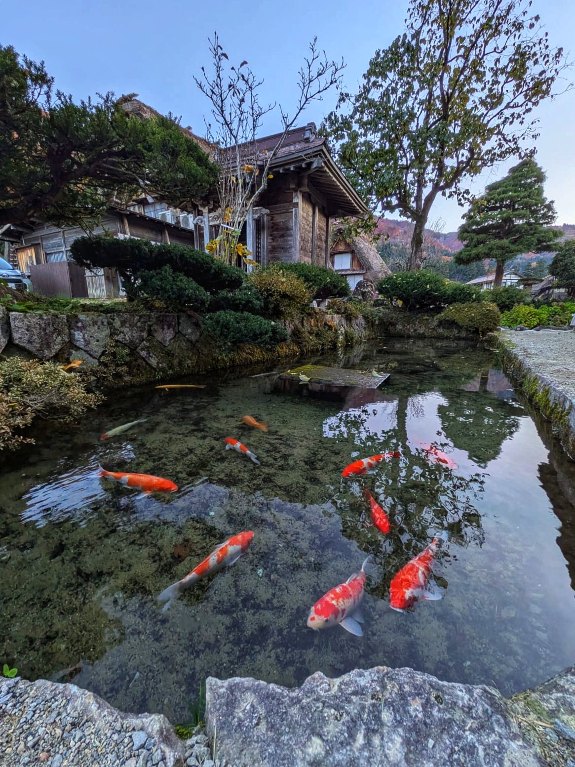 בריכת קוי – שירקאוואה־גו