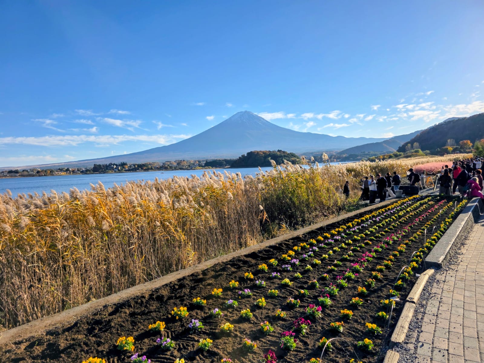 אגם קאוואגוצ'י והר פוג'י