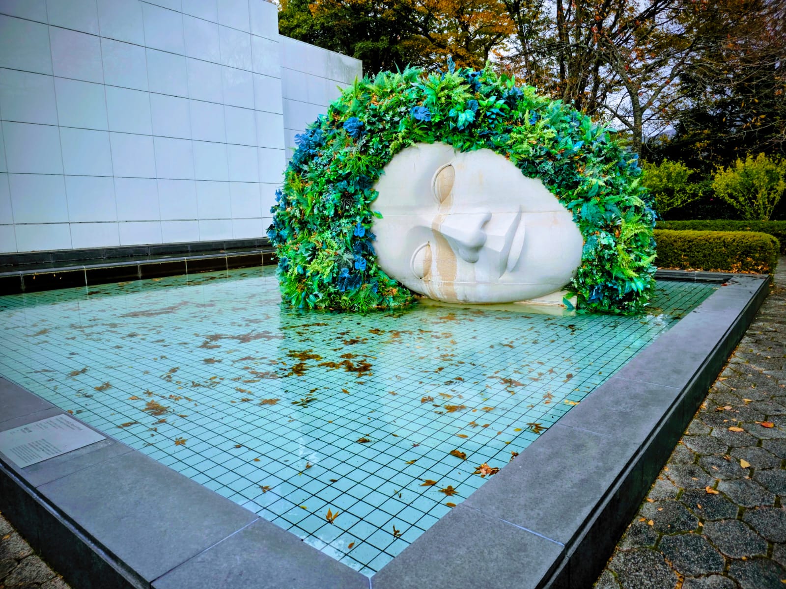 פסל ראש שוכב על מים במוזיאון הפתוח בהאקונה במסגרת טיול להאקונה הר פוג'י