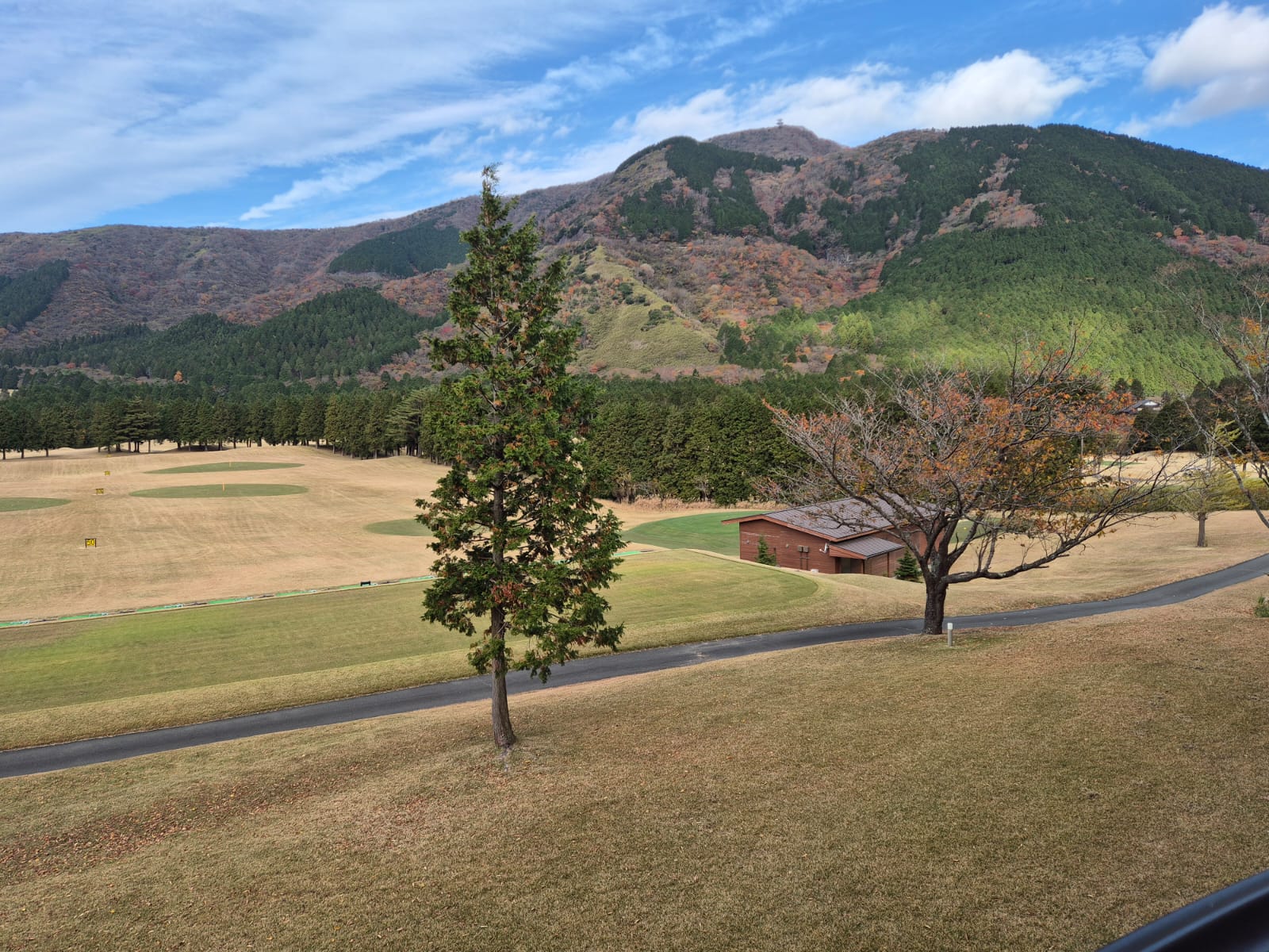 נוף רחב של מדשאות ויערות בהאקונה במסגרת טיול להאקונה הר פוג'י