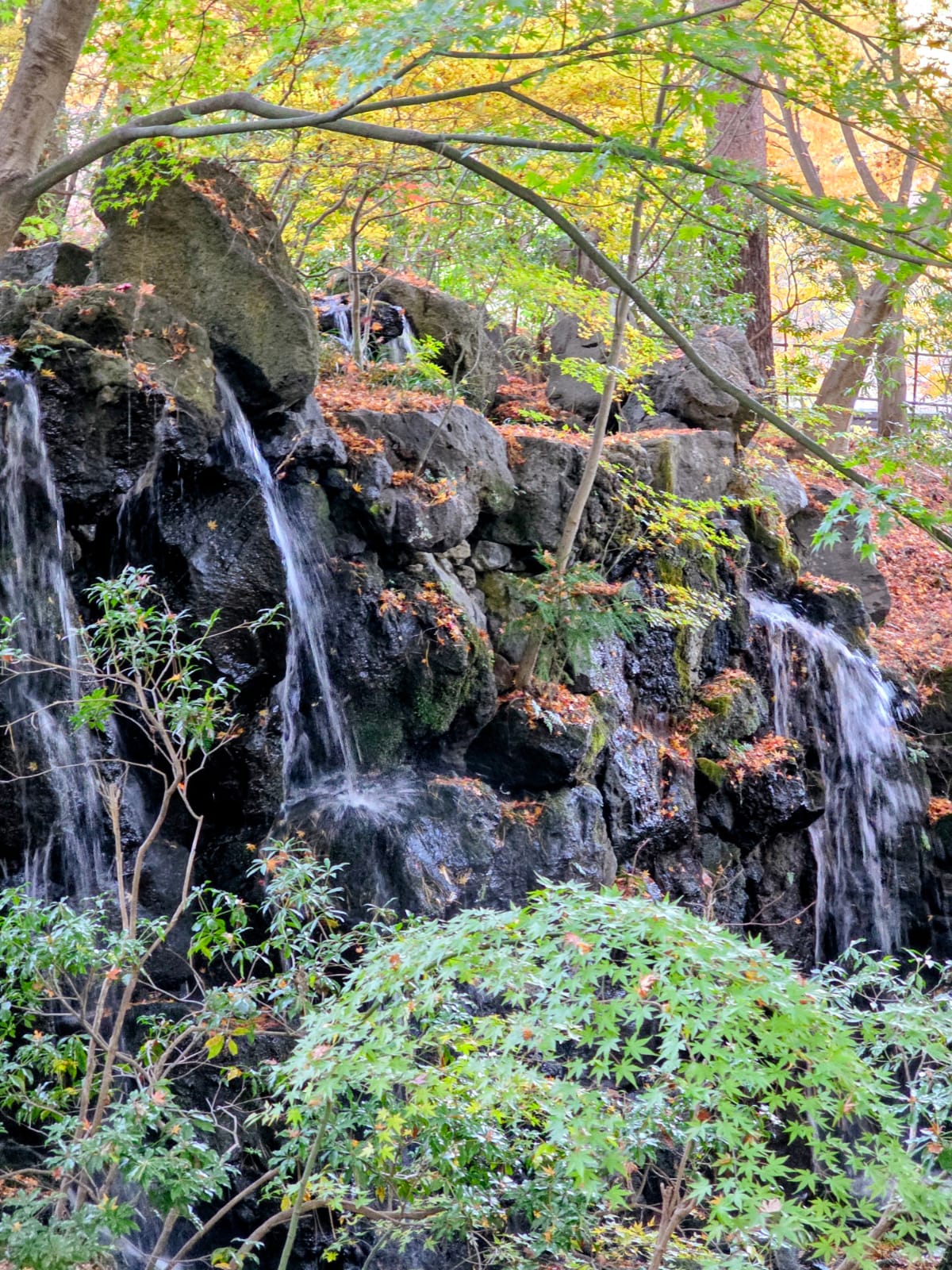 מפל קטן במוזיאון הפתוח בהאקונה כפי שחווינו במהלך טיול להאקונה וקמקורה.