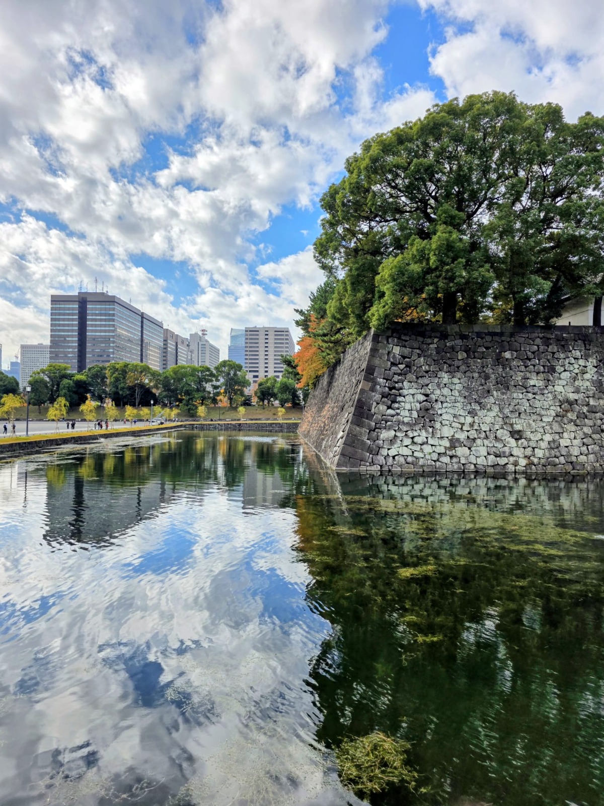 תעלה וגנים בארמון הקיסר